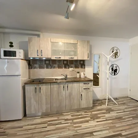 公寓 Urseni 蒂米什瓦拉