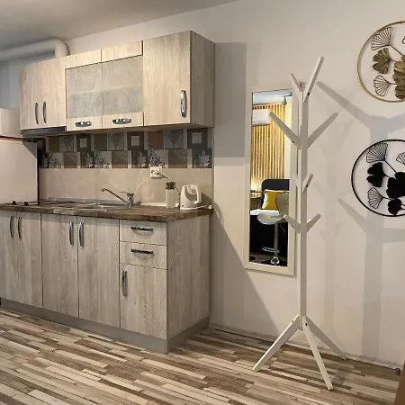 Urseni * 蒂米什瓦拉